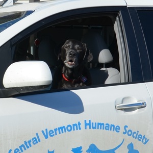 Team Page: Super Staff